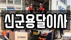 신군용달이사