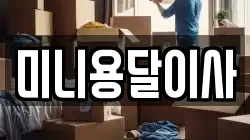 미니용달이사