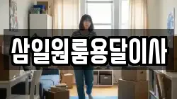 삼일원룸용달이사