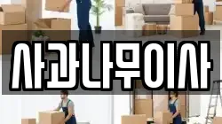 사과나무이사