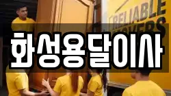 화성용달이사