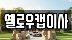 옐로우캡이사