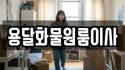 용달화물원룸이사