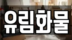 경기 시흥시 능곡동 이사,포장이사,반포장이사,원룸이사,사무실이사,용달이사,전국이사,보관이사