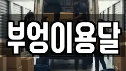 부엉이용달
