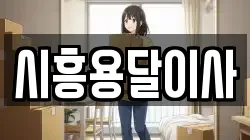 시흥용달이사