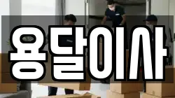 용달이사