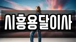 시흥용달이사