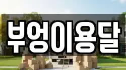 부엉이용달
