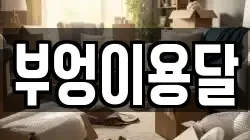 부엉이용달