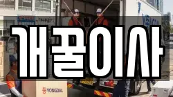 개꿀이사