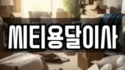 씨티용달이사