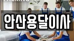 안산용달이사