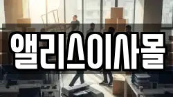 앨리스이사몰