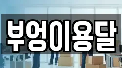 부엉이용달