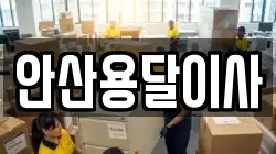 안산용달이사