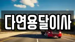다연용달이사