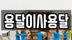 용달이사용달