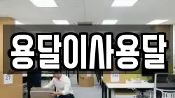 용달이사용달