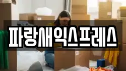 파랑새익스프레스
