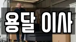 용달 이사