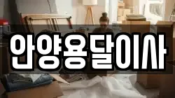 안양용달이사