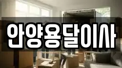 안양용달이사