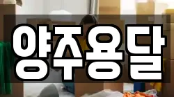 양주용달
