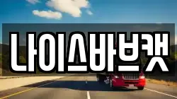 나이스바브캣