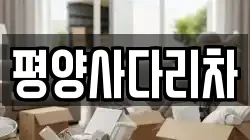 평양사다리차