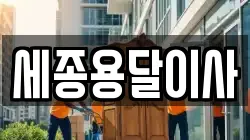 세종용달이사