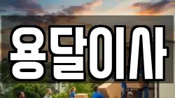 용달이사