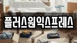 플러스원익스프레스