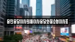 용인용달이사원룸이사용달화물소형이사포