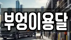 부엉이용달