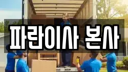파란이사 본사