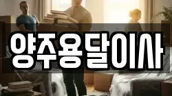 양주용달이사