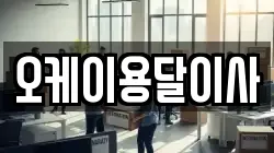 오케이용달이사