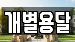 개별용달