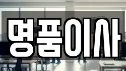 명품이사