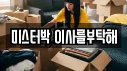 미스터박 이사를부탁해