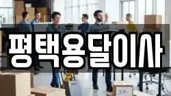 평택용달이사