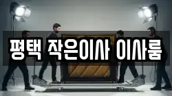 경기 평택시 세교동 이사,포장이사,반포장이사,원룸이사,사무실이사,용달이사,전국이사,보관이사