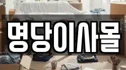 경기 평택시 월곡동 이사,포장이사,반포장이사,원룸이사,사무실이사,용달이사,전국이사,보관이사