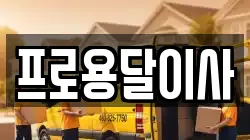 프로용달이사
