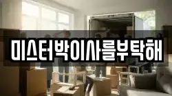 미스터박이사를부탁해