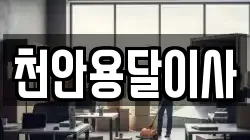 천안용달이사