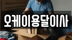 오케이용달이사