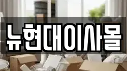 뉴현대이사몰