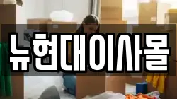 뉴현대이사몰